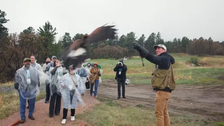 A handler releasing a hawk in front of a group of attendees