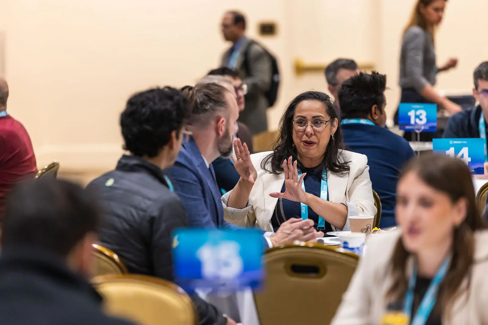 A practitioner making a point at roundtable fifteen